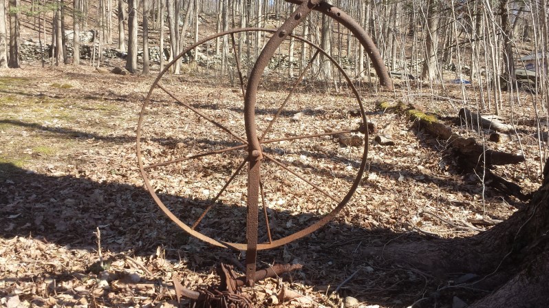 Lightwood Magazine Winter Issue 2022-2023&nbsp;#12