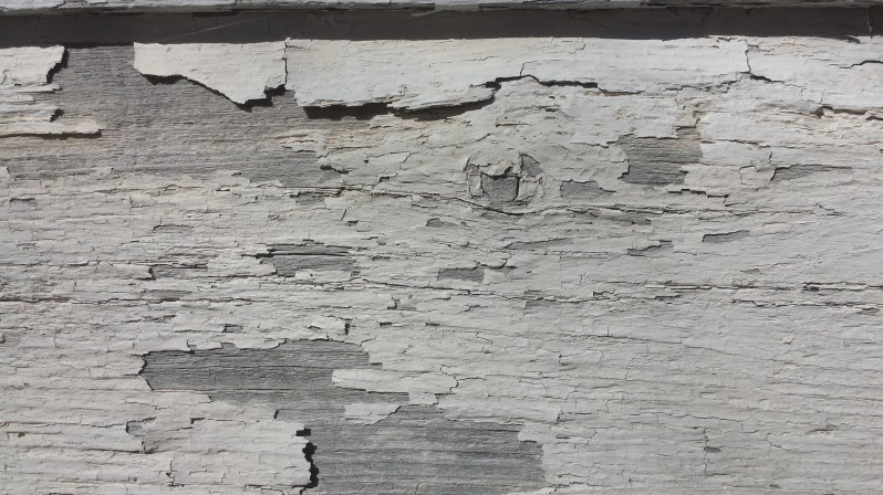 Welcome to Lightwood Winter Issue&nbsp;#16