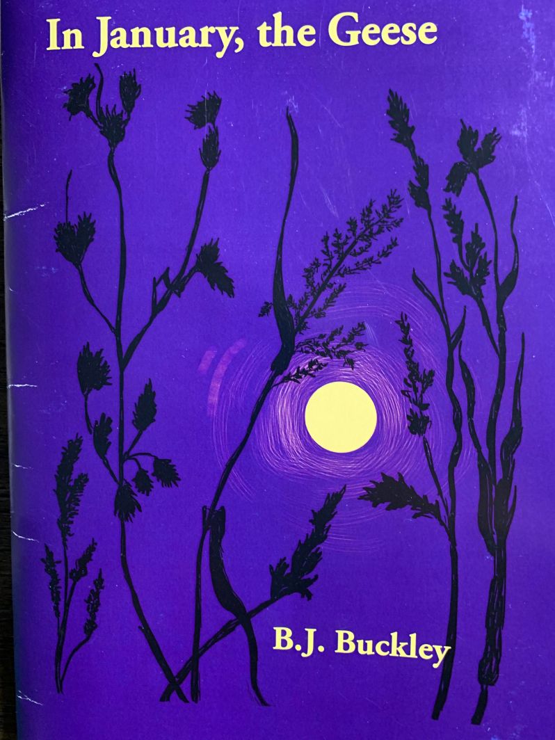 In January, the Geese by B.J. Buckley, winner of the Comstock Review’s 35th Anniversary Chapbook Contest/ a book review by Mary Beth&nbsp;Hines