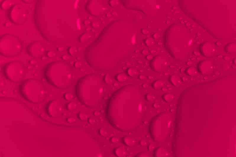 Geraniums/ poem by Jo&nbsp;Pitkin