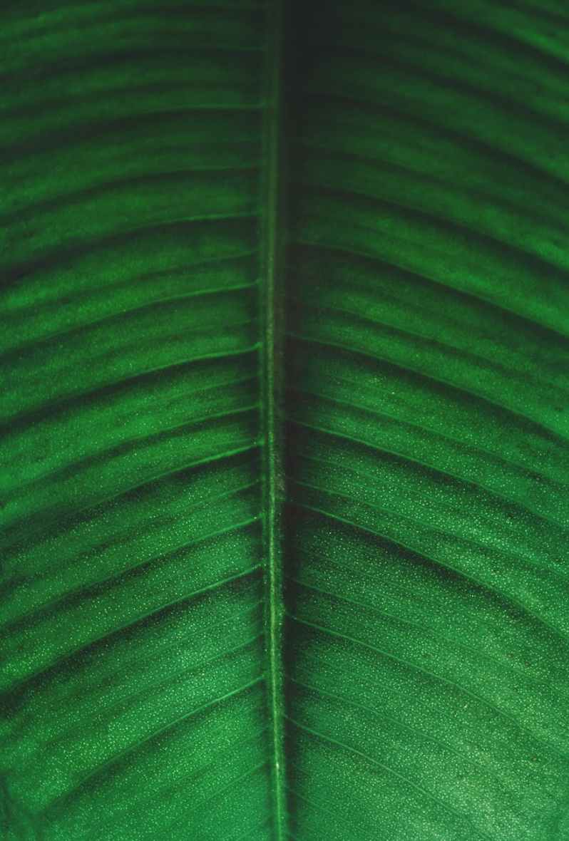 Summer Visit/ poem by Dennis Doherty