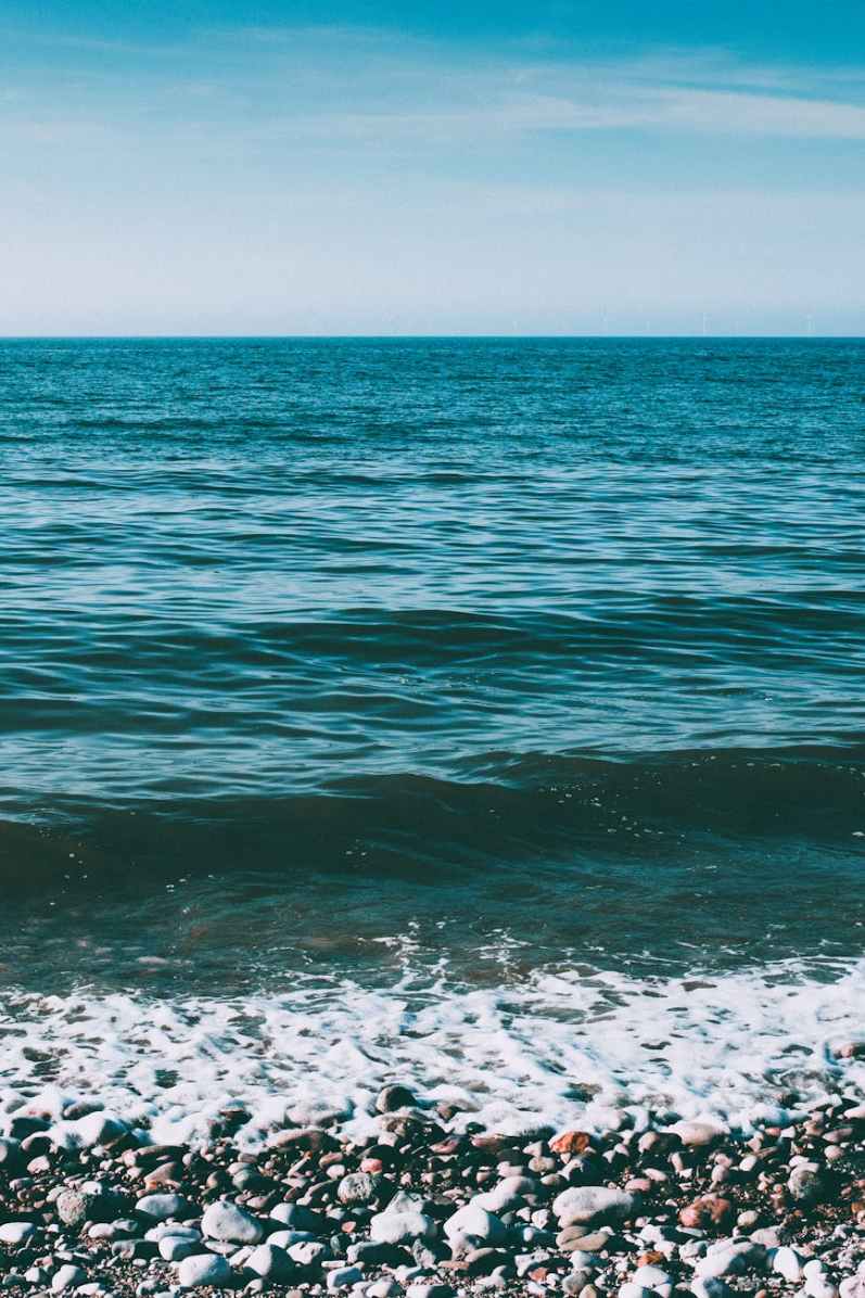 Once in a Lifetime Remix (after the Talking Heads)/ poem by Mary Beth Hines