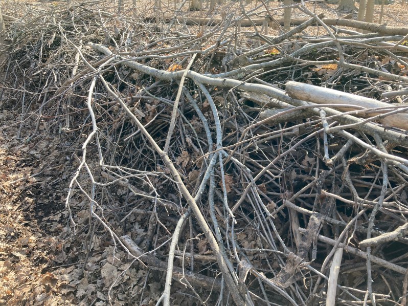 no matter/ poem by Laurence&nbsp;Carr