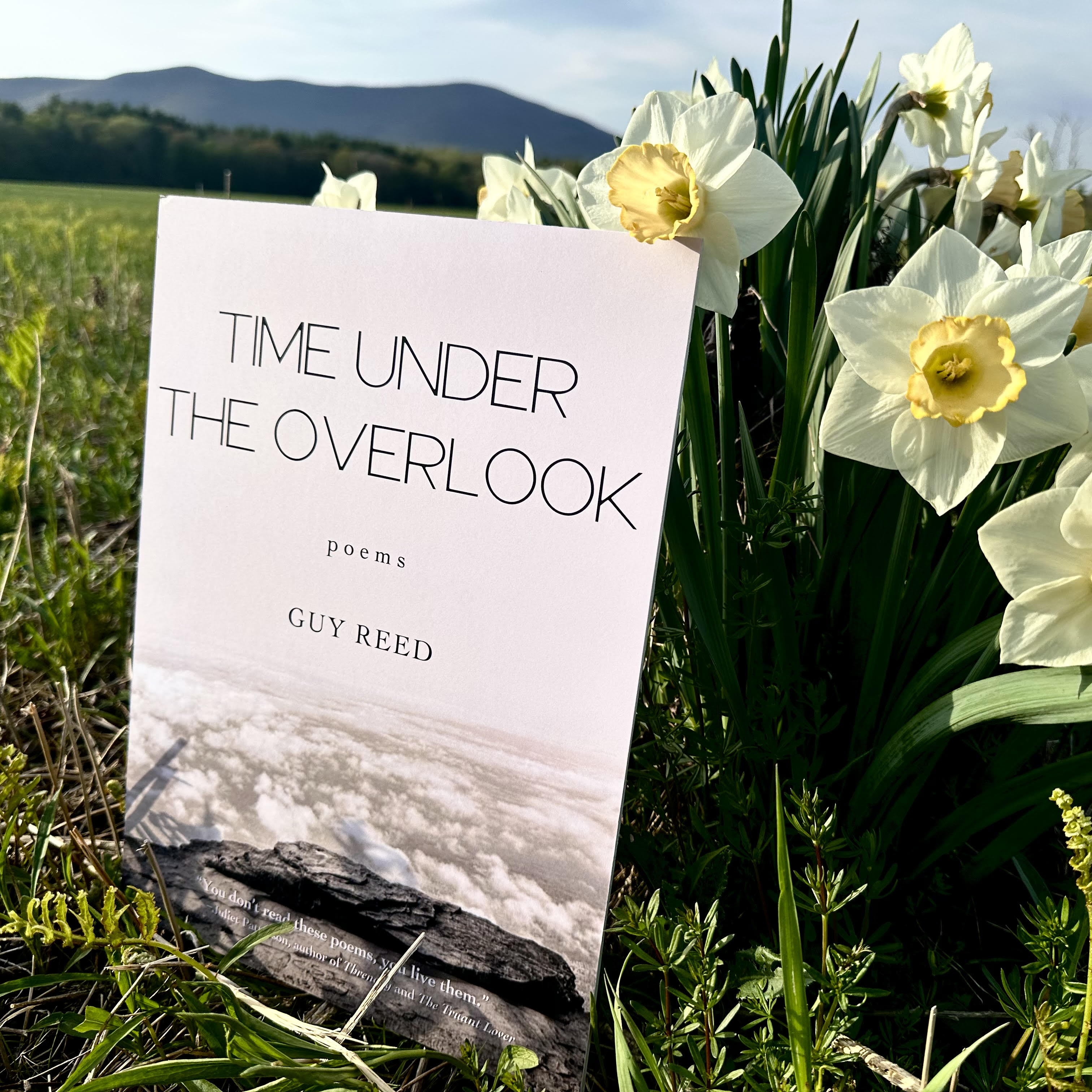Time Under the Overlook/ poems by Guy Reed/ book review by Raphael ...